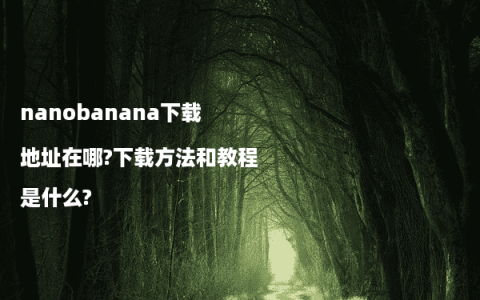nanobanana下载地址在哪?下载方法和教程是什么?