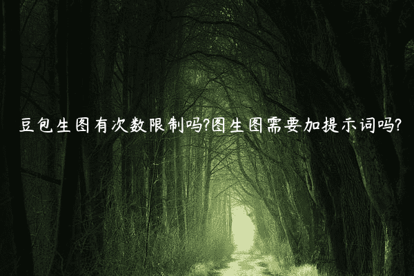 豆包生图有次数限制吗?图生图需要加提示词吗?