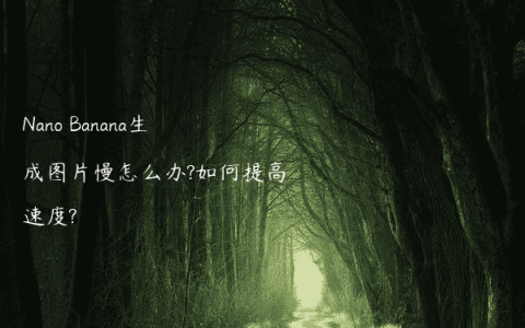 Nano Banana生成图片慢怎么办?如何提高速度?