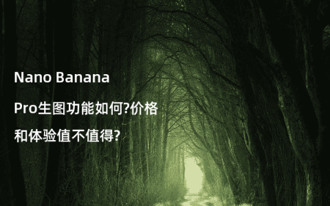 Nano Banana Pro生图功能如何?价格和体验值不值得?
