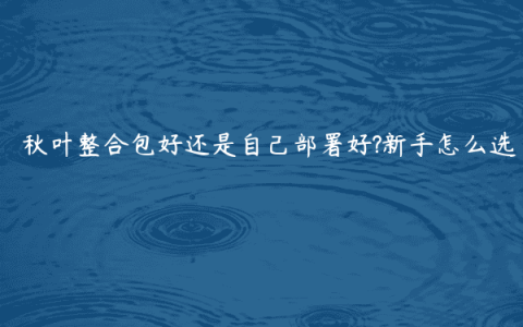 秋叶整合包好还是自己部署好?新手怎么选