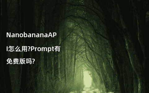 NanobananaAPI怎么用?Prompt有免费版吗?