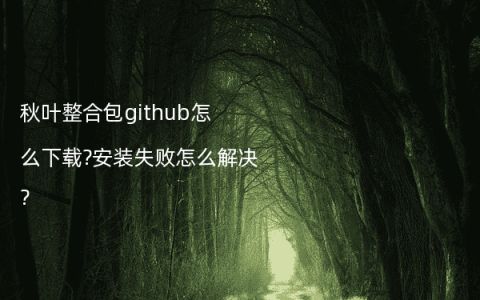 秋叶整合包github怎么下载?安装失败怎么解决?