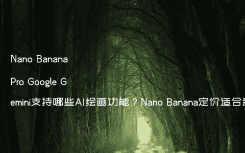 Nano Banana Pro Google Gemini支持哪些AI绘画功能？Nano Banana定价适合新手吗？