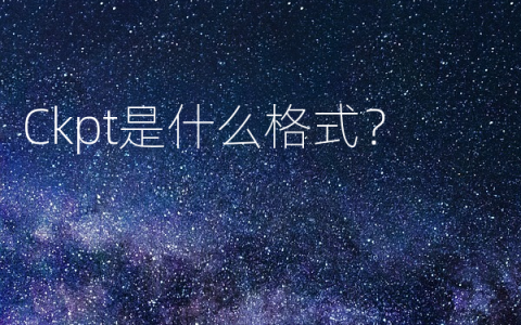 Ckpt是什么格式？