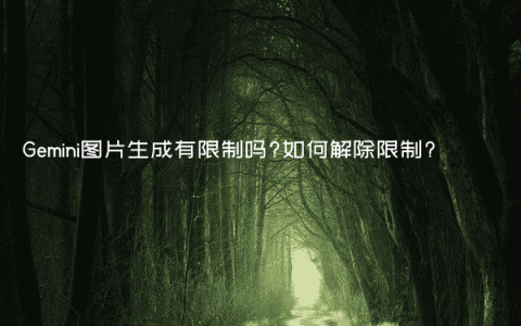 Gemini图片生成有限制吗?如何解除限制?