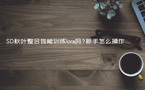 SD秋叶整合包能训练lora吗?新手怎么操作