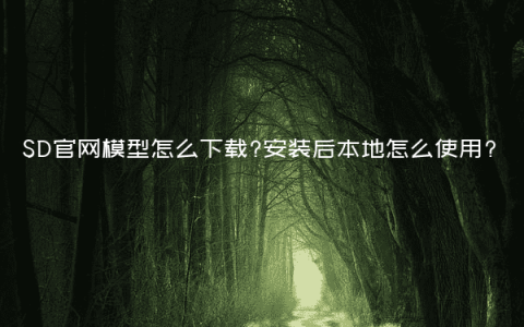 SD官网模型怎么下载?安装后本地怎么使用?