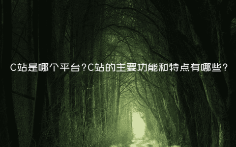 C站是哪个平台?C站的主要功能和特点有哪些?