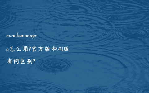 nanobananapro怎么用?官方版和AI版有何区别?