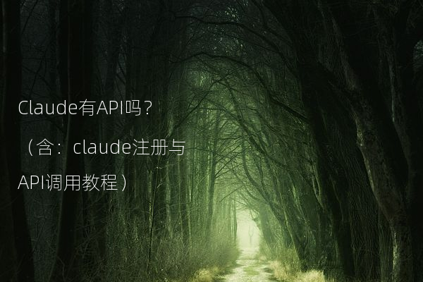 Claude有API吗？（含：claude注册与API调用教程）