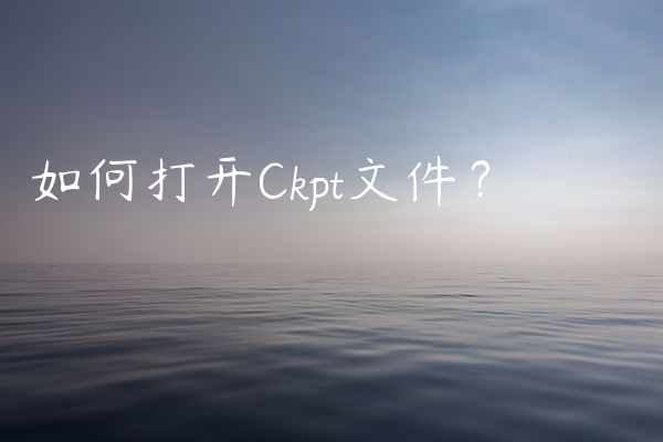 如何打开Ckpt文件？