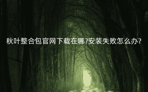 秋叶整合包官网下载在哪?安装失败怎么办?