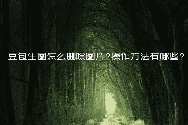 豆包生图怎么删除图片?操作方法有哪些?