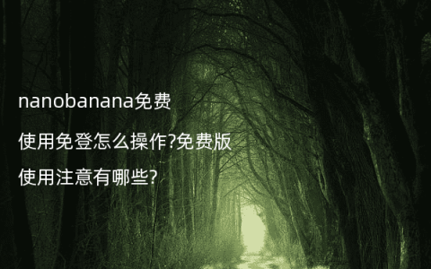 nanobanana免费使用免登怎么操作?免费版使用注意有哪些?