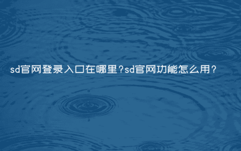sd官网登录入口在哪里?sd官网功能怎么用?