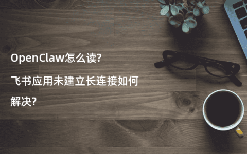 OpenClaw怎么读?飞书应用未建立长连接如何解决?