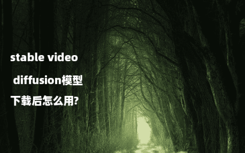 stable video diffusion模型下载后怎么用?