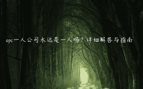 opc一人公司永远是一人吗？详细解答与指南