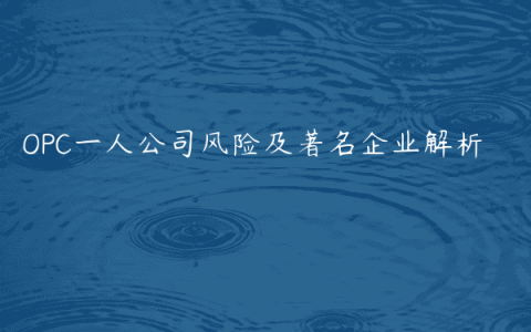 OPC一人公司风险及著名企业解析