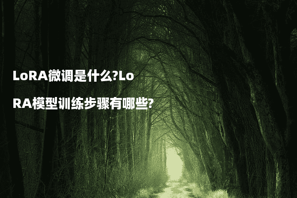 LoRA微调是什么？LoRA模型训练步骤有哪些？