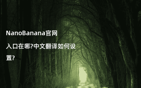 NanoBanana官网入口在哪?中文翻译如何设置?