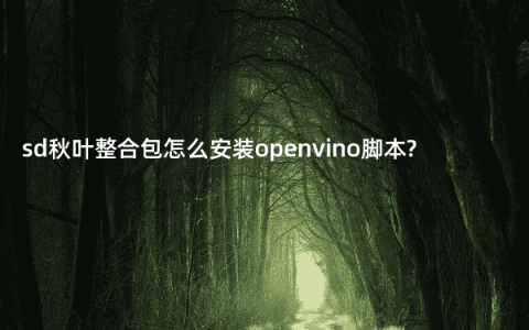 sd秋叶整合包怎么安装openvino脚本?
