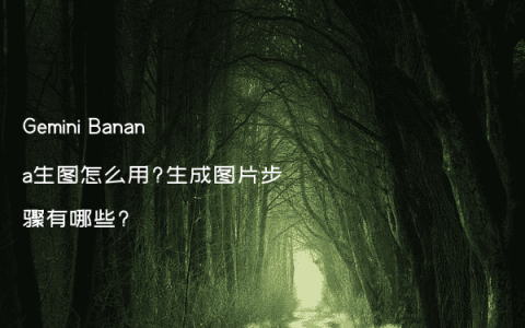 Gemini Banana生图怎么用?生成图片步骤有哪些?