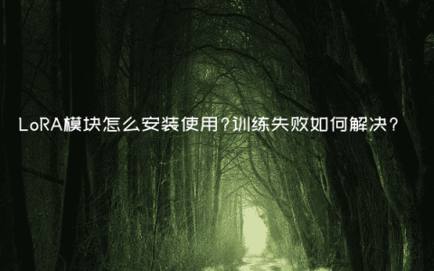 LoRA模块怎么安装使用?训练失败如何解决?