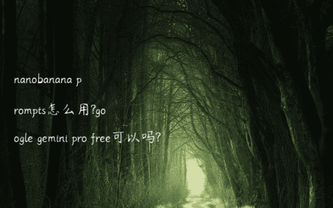 nanobanana prompts怎么用?google gemini pro free可以吗?