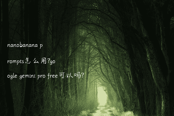 nanobanana prompts怎么用?google gemini pro free可以吗?