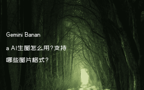 Gemini Banana AI生图怎么用?支持哪些图片格式?