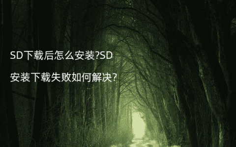 SD下载后怎么安装?SD安装下载失败如何解决?