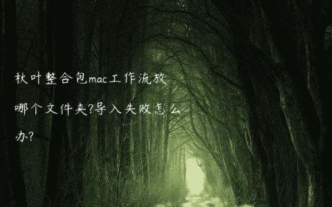 秋叶整合包mac工作流放哪个文件夹?导入失败怎么办?