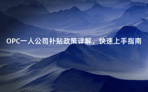 OPC一人公司补贴政策详解，快速上手指南