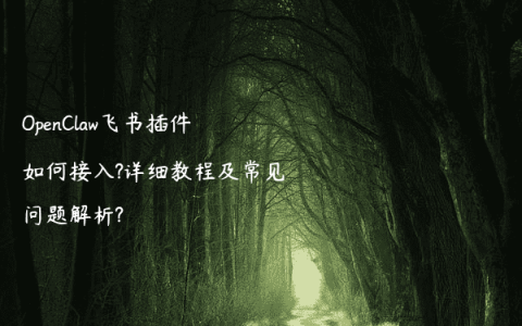 OpenClaw飞书插件如何接入?详细教程及常见问题解析?