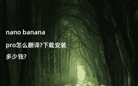 nano banana pro怎么翻译?下载安装多少钱?