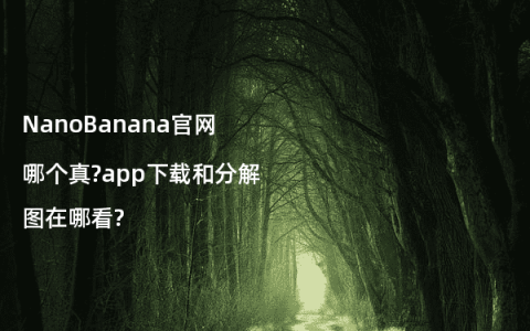 NanoBanana官网哪个真?app下载和分解图在哪看?