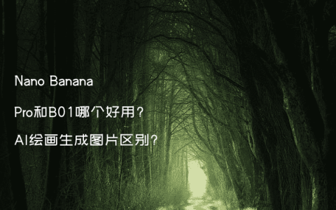 Nano Banana Pro和B01哪个好用?AI绘画生成图片区别?