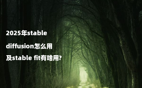 2025年stable diffusion怎么用及stable fit有啥用?