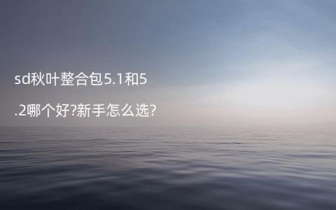 sd秋叶整合包5.1和5.2哪个好?新手怎么选?