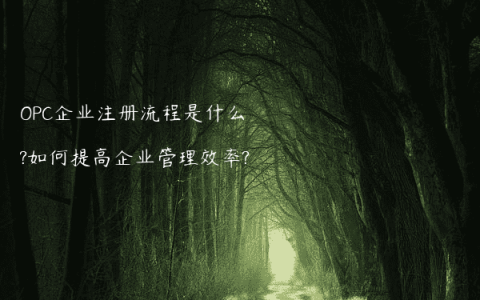 OPC企业注册流程是什么?如何提高企业管理效率?